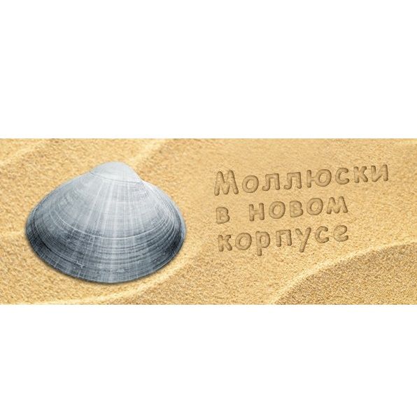 Встречайте новинки! МОЛЛЮСКИ в новом металлическом корпусе! Встречайте новинки! МОЛЛЮСКИ в новом металлическом корпусе!