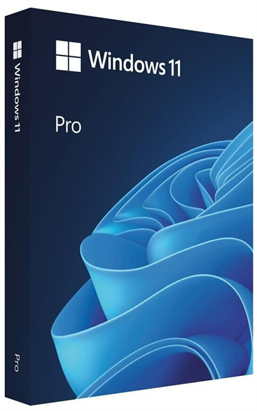 Win 11 Pro 64Bit Eng Intl 1pk DSP OEI DVD_ Win 11 Pro 64Bit Eng Intl 1pk DSP OEI DVD_