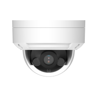 Купольная камера наблюдения 5Мп DWC-SDS-D251 Купольная камера наблюдения 5Мп DWC-SDS-D251