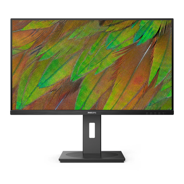 31,5" Philips