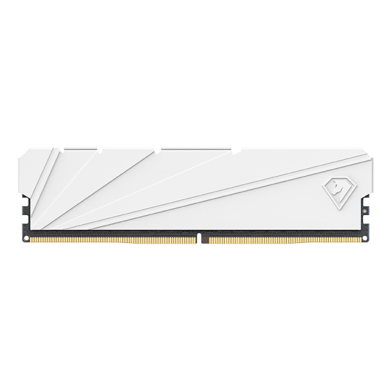 Netac Shadow S 8GB DDR4-2666 (PC4-21300) C19 19-19-19-43 1.2V Memory module (DIMM) White