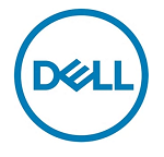 DELL  480GB LFF (2.5" in 3.5" carrier) Read Intensive SSD SATA 6Gbps, 1 DWPD,876 TBW, For 14G/G15 (analog 400-AXRJ)