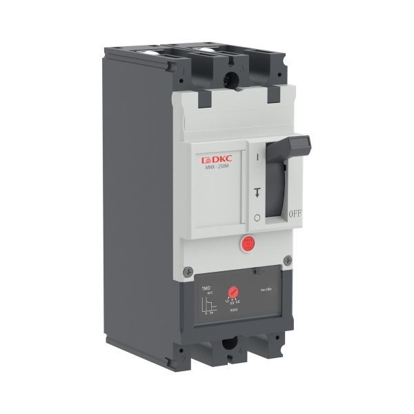 Авт. выкл. YON pro MNX250M 2P 250A 100kA при AC415V расц. TMD