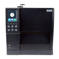 iDPRT iX6P, 6", TT, WIDE, 300DPI, 10IPS (254 mm/sec), 512/256MB, RTC, 3.5-inch touch LCD, USB+USB HOST+RS232, ZPL-II, DPL