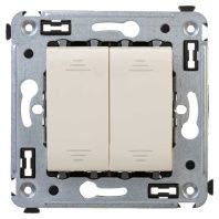 Выключатель двухклавишный в стену, Avanti, ванильная дымка