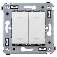 Выключатель двухклавишный в стену, Avanti, белое облако