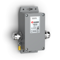 Устройство защиты портов в сети Ethernet УЗЛ-Е исп.1