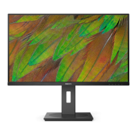 31,5" Philips