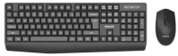 Philips Беспроводной Комплект  SPT6337, 2.4 GHz 104 клав/3 кнопки, 1600dpi, русская заводская раскладка, чёрный