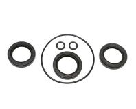 DOORHAN Набор прокладок (Shaft-30/60), SH 155