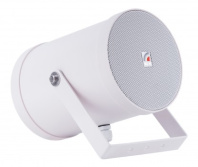 Двунаправленный звуковой прожектор ROXTON SW-10T2