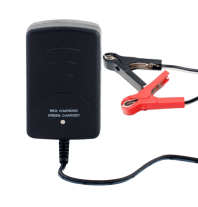 ЗУ Восток 220-12-0.3