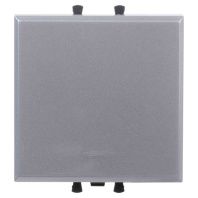 Инвертор одноклавишный модульный, Avanti, закаленная сталь, 2 модуля