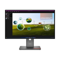 Lenovo ThinkVision P27Q-40 27" 16:9 QHD (2560x1440) IPS, 120Hz, 350N, 1xHDMI  2.1 TMDS, 1xDP 1.4, 1xDP 1.4 Out, 3xUSB-A (USB 5Gbps), 1xUSB-C (USB 5Gbps, PD 15W), 1xUSB-B (USB 5Gbps), LTPS, 1Y