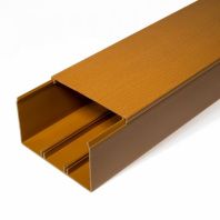 Кабель-канал бук 2-й замок 100х60 мм (8м/уп)