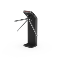 Электронная проходная Cube PC-21