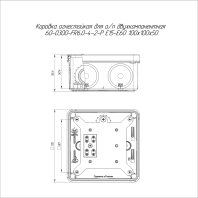 Коробка огнестойкая разветвительная для о/п двухкомпонентная 60-0300-FR6.0-4-2-Р Е15-Е60 RAL2003 100х100х50 (14 шт/кор)