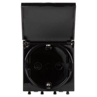 Розетка с крышкой модульная, 2P+E, с з/ш, Avanti, черный квадрат, 2 модуля