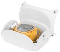 NSBon-33-1 (I2202425)