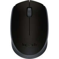 Logitech Wireless Mouse M171, black, [910-004424/910-004643]