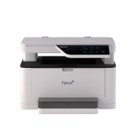 Многофункциональное устройство Fplus MB301DNW