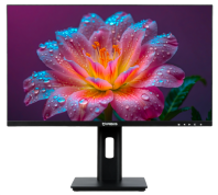 IRBIS SMARTVIEW 27'' LED Monitor 1920x1080, 16:9, IPS, 300 cd/m2, 1000:1, 3ms, 178°/178°, VGA, HDMI, DP, USB, 100Hz,Tilt,Height,Swivel,Pivot,Speak, внутр бп, VESA для mini ПК Black 3y (China)