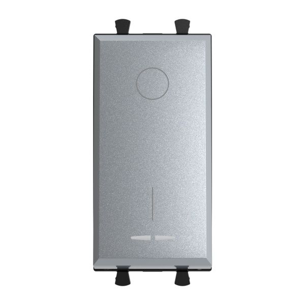 Выключатель двухполюсный одноклавишный модульный, Avanti, закаленная сталь, 1 модуль Выключатель двухполюсный одноклавишный модульный, Avanti, закаленная сталь, 1 модуль