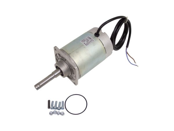 Электродвигатель G3000 119RIG405 Электродвигатель G3000 119RIG405