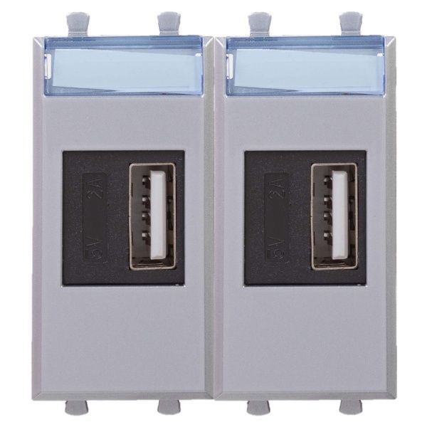 USB зарядное устройство модульное, Avanti, закаленная сталь, 2модуля, 2.1 А USB зарядное устройство модульное, Avanti, закаленная сталь, 2модуля, 2.1 А