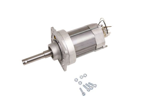 Двигатель для G2500 в сборе  119RIG090 Двигатель для G2500 в сборе  119RIG090