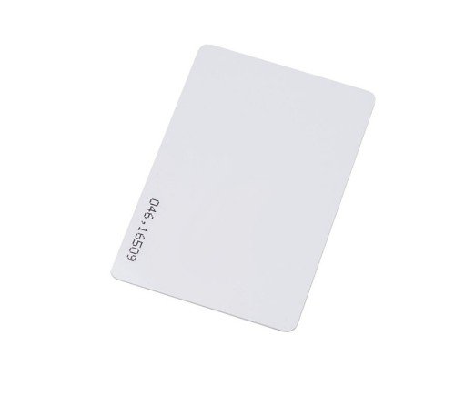 RFID Карта ISO с двумя чипами IL-06 (T&M) RFID Карта ISO с двумя чипами IL-06 (T&M)