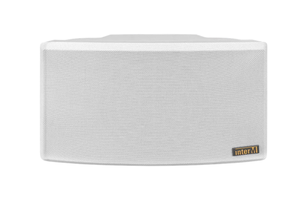 Громкоговоритель настенный WS-210(I) Громкоговоритель настенный WS-210(I)