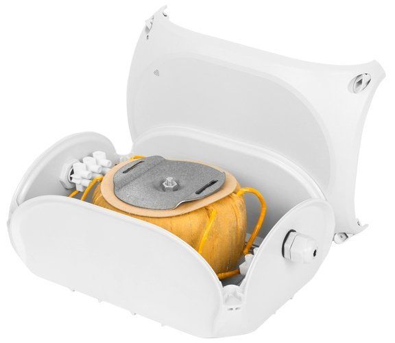 NSBon-33-1 (I2202425) NSBon-33-1 (I2202425)