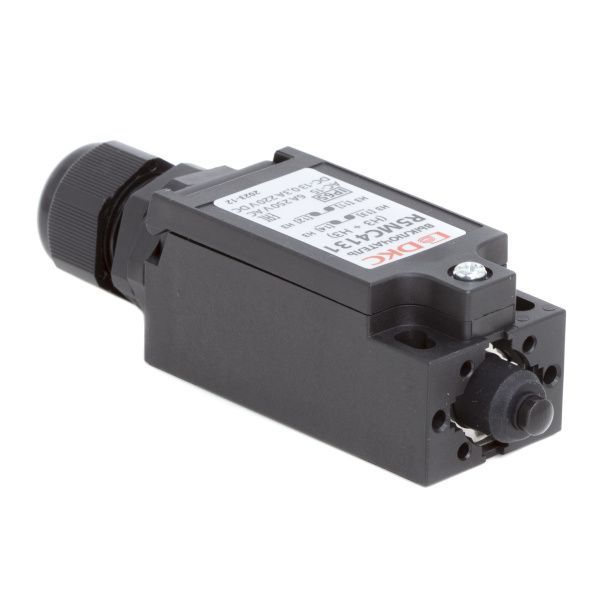 Концевой выключатель с двумя нормально закрытыми контактами (NC+NC). Исполнение с кнопкой. RAM block Концевой выключатель с двумя нормально закрытыми контактами (NC+NC). Исполнение с кнопкой. RAM block