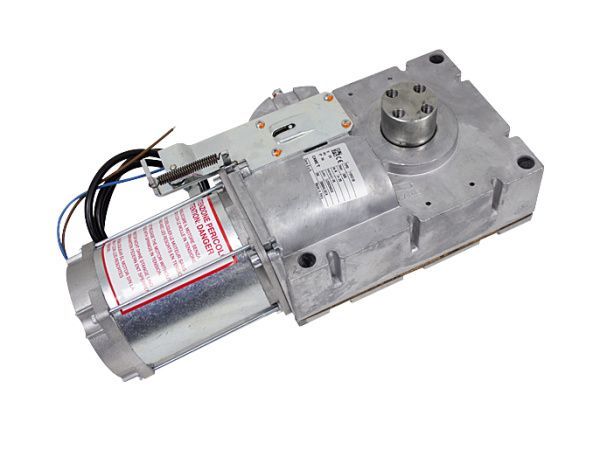 Моторедуктор G4040 G4040I  119RIG198 Моторедуктор G4040 G4040I  119RIG198
