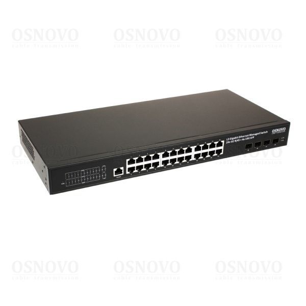 SW-24G4X-2L SW-24G4X-2L