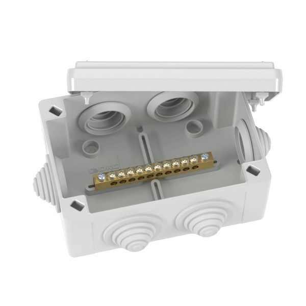 Коробка уравнивания потенциалов, 10 зажимов, 6 вводов д.25мм, 120х80х50мм, IP55 Коробка уравнивания потенциалов, 10 зажимов, 6 вводов д.25мм, 120х80х50мм, IP55