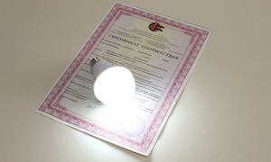 Светильник SKAT LED-220 E27 IP54. Изображение 1 Стандартный width=