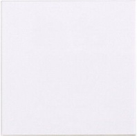 Комплект из 10 шт. запасных стеклянных вставок Esser by Honeywell 704910 Комплект из 10 шт. запасных стеклянных вставок Esser by Honeywell 704910